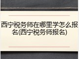 西宁税务师在哪里学怎么报名(西宁税务师报名)