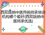 西双版纳中医传统师承培训机构哪个最好(西双版纳中医师承优选)