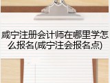咸宁注册会计师在哪里学怎么报名(咸宁注会报名点)