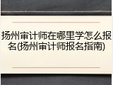 扬州审计师在哪里学怎么报名(扬州审计师报名指南)