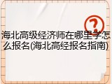 海北高级经济师在哪里学怎么报名(海北高经报名指南)