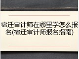 宿迁审计师在哪里学怎么报名(宿迁审计师报名指南)