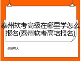 泰州软考高级在哪里学怎么报名(泰州软考高培报名)