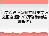 西宁心理咨询师在哪里学怎么报名(西宁心理咨询师培训报名)