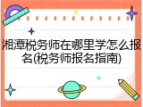 湘潭税务师在哪里学怎么报名(税务师报名指南)