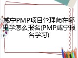 咸宁PMP项目管理师在哪里学怎么报名(PMP咸宁报名学习)