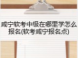 咸宁软考中级在哪里学怎么报名(软考咸宁报名点)