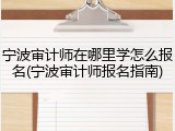 宁波审计师在哪里学怎么报名(宁波审计师报名指南)