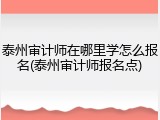 泰州审计师在哪里学怎么报名(泰州审计师报名点)
