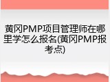 黄冈PMP项目管理师在哪里学怎么报名(黄冈PMP报考点)
