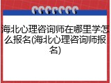 海北心理咨询师在哪里学怎么报名(海北心理咨询师报名)