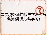 咸宁税务师在哪里学怎么报名(税务师报名学习)