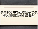 泰州软考中级在哪里学怎么报名(泰州软考中级报名)