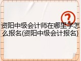 资阳中级会计师在哪里学怎么报名(资阳中级会计报名)