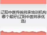 辽阳中医传统师承培训机构哪个最好(辽阳中医师承优选)