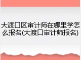 大渡口区审计师在哪里学怎么报名(大渡口审计师报名)