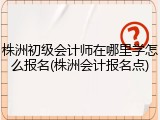 株洲初级会计师在哪里学怎么报名(株洲会计报名点)