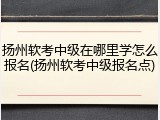 扬州软考中级在哪里学怎么报名(扬州软考中级报名点)