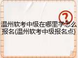 温州软考中级在哪里学怎么报名(温州软考中级报名点)