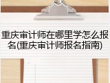 重庆审计师在哪里学怎么报名(重庆审计师报名指南)