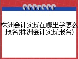 株洲会计实操在哪里学怎么报名(株洲会计实操报名)