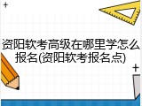 资阳软考高级在哪里学怎么报名(资阳软考报名点)