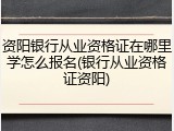 资阳银行从业资格证在哪里学怎么报名(银行从业资格证资阳)