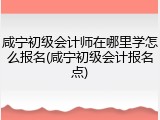 咸宁初级会计师在哪里学怎么报名(咸宁初级会计报名点)