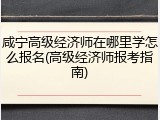 咸宁高级经济师在哪里学怎么报名(高级经济师报考指南)