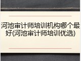 河池审计师培训机构哪个最好(河池审计师培训优选)