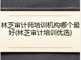 林芝审计师培训机构哪个最好(林芝审计培训优选)