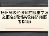 扬州高级经济师在哪里学怎么报名(扬州高级经济师报考指南)