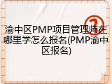 渝中区PMP项目管理师在哪里学怎么报名(PMP渝中区报名)