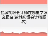盐城初级会计师在哪里学怎么报名(盐城初级会计师报名)