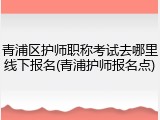 青浦区护师职称考试去哪里线下报名(青浦护师报名点)