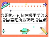 襄阳执业药师在哪里学怎么报名(襄阳执业药师报名点)