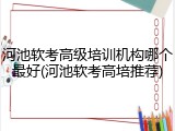 河池软考高级培训机构哪个最好(河池软考高培推荐)