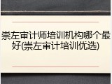 崇左审计师培训机构哪个最好(崇左审计培训优选)