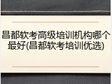 昌都软考高级培训机构哪个最好(昌都软考培训优选)