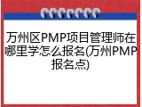 万州区PMP项目管理师在哪里学怎么报名(万州PMP报名点)