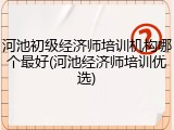 河池初级经济师培训机构哪个最好(河池经济师培训优选)