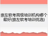 崇左软考高级培训机构哪个最好(崇左软考培训优选)