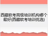 西藏软考高级培训机构哪个最好(西藏软考培训优选)