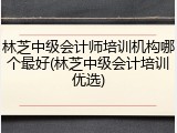 林芝中级会计师培训机构哪个最好(林芝中级会计培训优选)