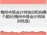 梅州中级会计师培训机构哪个最好(梅州中级会计师培训优选)