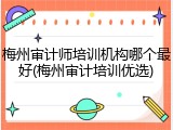 梅州审计师培训机构哪个最好(梅州审计培训优选)
