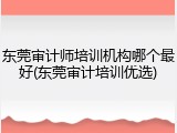 东莞审计师培训机构哪个最好(东莞审计培训优选)