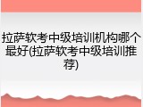 拉萨软考中级培训机构哪个最好(拉萨软考中级培训推荐)
