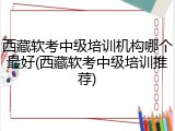 西藏软考中级培训机构哪个最好(西藏软考中级培训推荐)