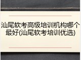 汕尾软考高级培训机构哪个最好(汕尾软考培训优选)